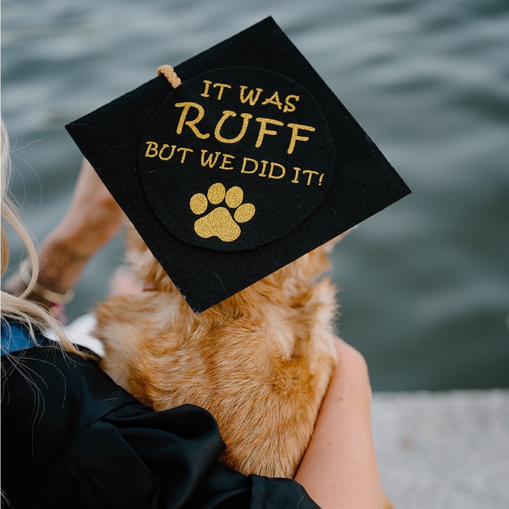 Dog Graduation Cap - Picture 3 of 3